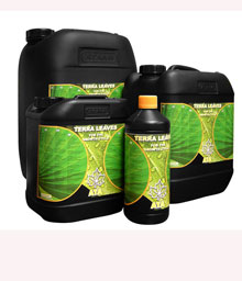 ATA TERRA MAX 5L - ATAMI - - ATAMI - FERTILIZANTES