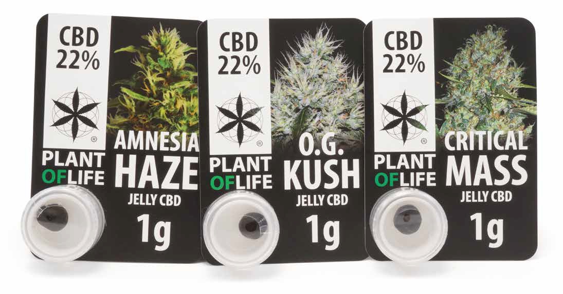 JELLY CBD 22% O.G. KUSH PLANT OF LIFE - - PARAFARMACIA Y COSMETICA - PARAFERNALIA