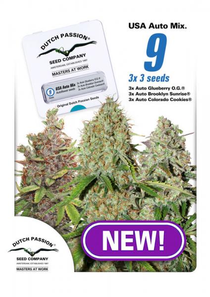 USA AUTOFLOWER MIX - 9 UNIDADES FEMINIZADAS - DUTCH PASSION - SEMILLAS