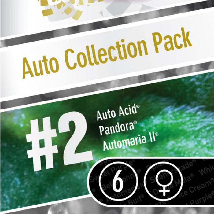 6 UND FEM - AUTO COLLECTION PACK #2 - - PARADISE SEEDS - SEMILLAS